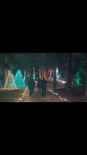 Beginning Wednesday, November 26, you can experience the Winterlight Walk! It’s FREE for everyone, fun for all ages, and a great way to kick off the holiday season in Downtown Lawrenceville! Make Lawrenceville your Christmas Destination this year with the 38th Annual Lighting of the Tree at the Gwinnett Historic Courthouse on Nov. 27, the Atl Christkindl Market opening on Nov. 28 and Holiday Happenings in the DTL! WINTERLIGHT WALK Park at the Gwinnett Justice and Administration Center then step 