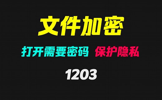 如何给电脑文件加密？它加密后需要密码才能打开
