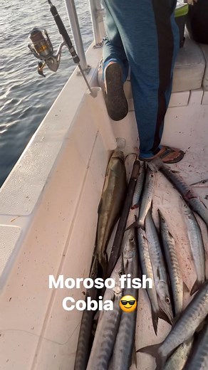 Dibba deep sea fishing #kokanifamily #deepseafishing #kokanivlog #kokan #fishingislife | Muzammil Parkar