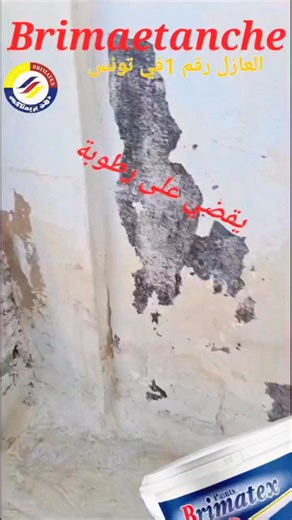 Brimaetanche patte armé isolation thermique-anti humidité-Anti-fissure 3en1 appelle maintenant pour passe le commande 25934501 | Brimatex Officiel