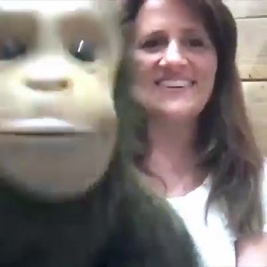31K views · 799 reactions | Appearing from my kitchen tomo night on zoom 8pm London time- join for a pound which goes to charity (spires London) https://www.showandtelluk.com/event/a-night-in-with-nina-and-monkey/ | Nina Conti | Facebook