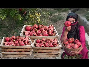 Harvesting Wild Pomegranate: Making Traditional Paste in the Village