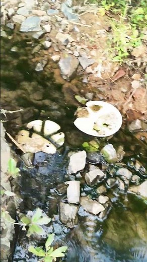 man vs wid full episodes, wild, episode of man vs wild, bear grylls man vs wild, man vs wild hindi🌴