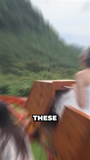 1.2K views | They Found An Abandoned Roller Coaster In The Forest  (@thanhlena) | Unity Uplift | Facebook