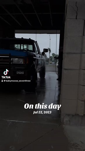 Baby moose_seventhree on TikTok