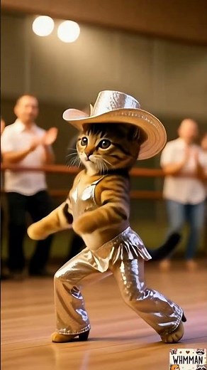 Disco Dancing Animal Party! |Disco 動物狂歡之夜！🪩✨