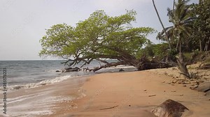 Plage de Kribi au Cameroun / Kribi Beach in Cameroon