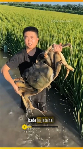 Most Unique Farming 😲 #shorts