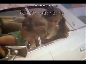 Rocket Classic Sesame Street A Cleans A Car Wash (1978)