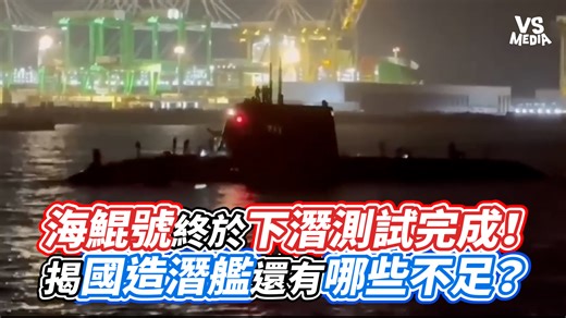 大家怎麼看呢？ 創作人 说真话的徐某人 原影片👉請看留言 | VS MEDIA