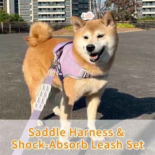 Saddle harness & shock-absorb leash set beplay.cn@gmail.com