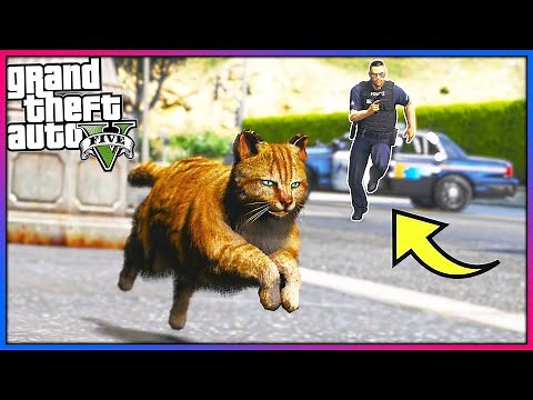 I played as a cat... Cops HATED me!! (GTA 5 Mods)
