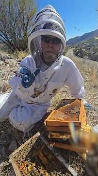 Invasive to Earth