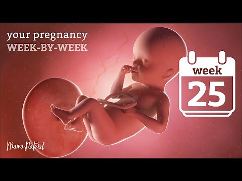 25 Weeks Pregnant - Natural Pregnancy Week-By-Week