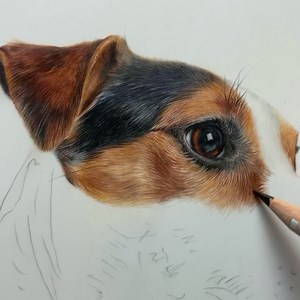 5.6K views · 772 reactions | I am just loving this piece ❤️ I’m using drafting film and creating a tutorial aimed at anyone who wants to learn to draw with coloured pencils - in-depth voice over recorded as I draw 殺 | Bonny Snowdon Academy | Facebook