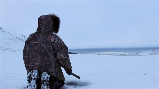 Paulatuk, N.W.T., using acoustic tags on Arctic char to better understand their whereabouts