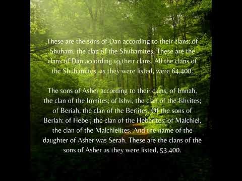 Numbers 26 - Biblical Wisdom - Census of the new Generation