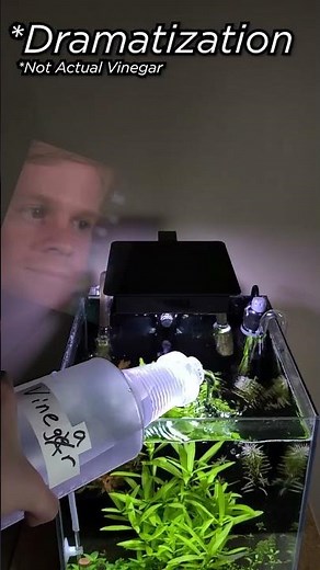 The BEST and SAFEST Aquarium Glass Cleaner Ever!