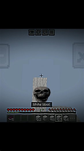 Minecraft Java Edition VS Pocket Edition! 👑