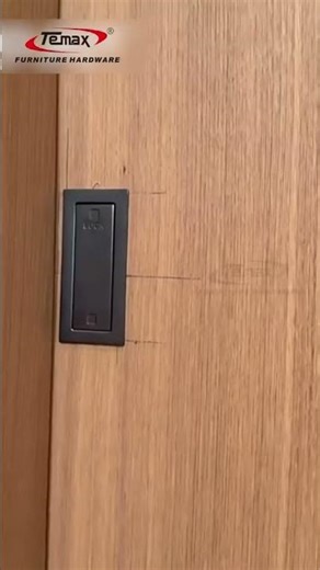 🔒 TEMAX Built-in Ghost Door Lock!