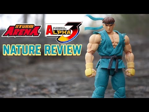 STORM ARENA STREET FIGHTER ALPHA 3 WONDER FESTIVAL 2025 EXCLUSIVE RYU - NATURE REVIEW