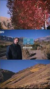 Fall colors are lighting up the Eastern Sierra