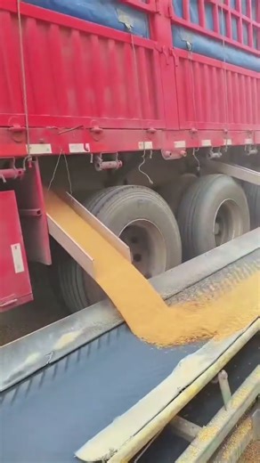Efficient Grain Unloading Process from Truck to Conveyor Belt
