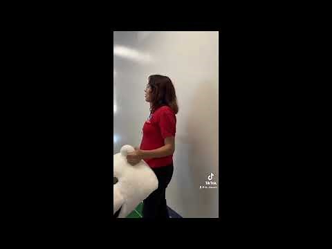 Compass Rose Legacy Secondary EOY Video