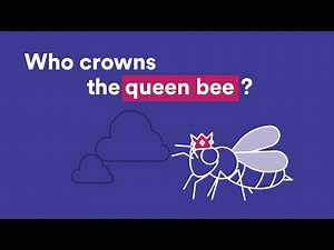 Who crowns the queen bee? | Wonder Kids | Scitech WA