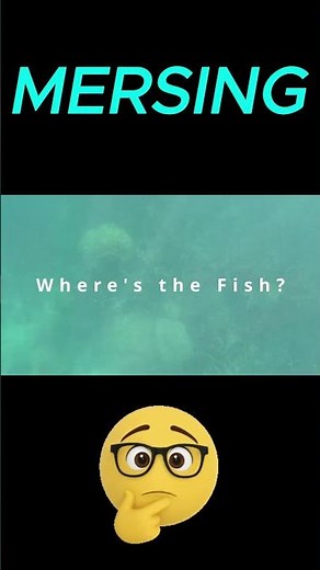 First Time in Mersing #travel #mersing #visitmalaysia #visitjohor #island #malaysia #johor #sea #ric