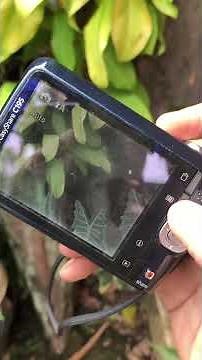 Kodak EasyShare C195