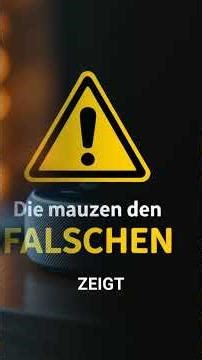 💡 Echo from €19 - These 3 bundles are worth it!