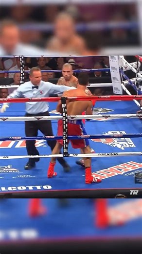 1.7K views · 12 shares | Miguel Cotto #boxing #knockout | Ringside tv | Facebook