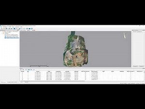 LiMapper | Processing Photogrammetry Data Tutorial