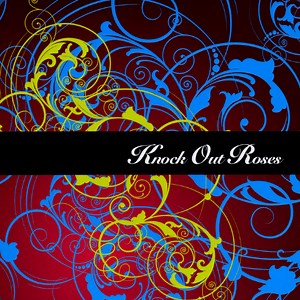 Knock Out Roses