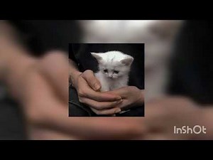 Balloon - 花に風 / Wind Over The Flower [Sped Up]