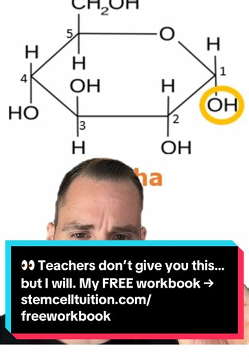 👀 Teachers don’t give you this… but I will. My FREE workbook → stemcelltuition.com/freeworkbook#biology #ocr #ALevels #aqa