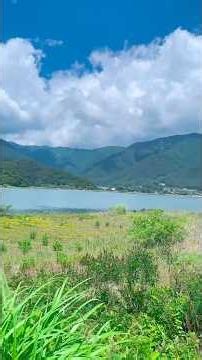 山梨県✨八木崎公園と河口湖をのんびり散策🚶‍♀️🌿✨ #河口湖 #八木崎公園 #山梨県 #夫婦 #shorts