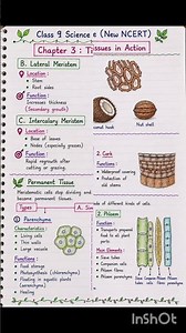 Tissues in Action One Shot Revision | CBSE Class 9