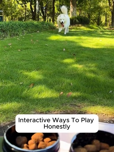 This 6-in-1 Dog Gift Set has everything your pup needs — all in one box. 🎁 Includes: ✔️ 2 Bottles Pet Nutritional Supplements (100 chews each) ✔️ Rechargeable Hair Trimmer ✔️ Multifunction Nail Clipper ✔️ Durable Dog Leash ✔️ Interactive Pet Toy #doggift #petproducts #shopnow #petcare #dogowners #doglove #petparent #doglife #happydog