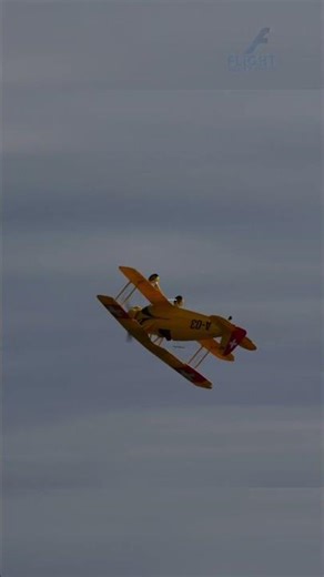 INCREDIBLE Giant Scale RC Biplane Loop! #Shorts #YouTubeShorts