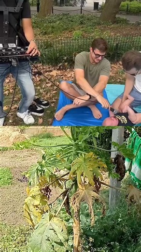 #prank #funny #video #viral #comedy #maiking check#entertainment #shorts #reels #trending