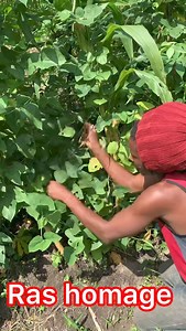 3.7K views · 67 reactions | I love doing this | Ras homage | Facebook