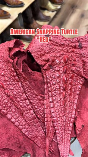 American Snapping Turtle in color “Red” You can always stop by our location! We also offer shipping nationwide! ☎️ 713-514-9939. 👢La Hacienda Boot Co.👢 2429 Telephone Rd Houston, Texas 77023 ☎️ 713-514-9939/📱346-510-8311 #lahaciendabootco #custommade #handmade #boot #botas | La Hacienda Boot Co.