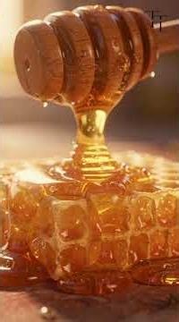 How Bees Make Honey 🍯🐝