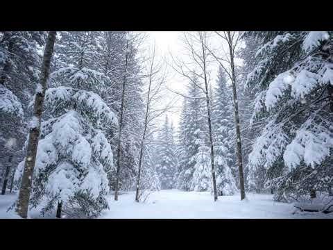 ❄️ Gentle Snowfall & Calming Sounds | Soft Falling Snow with Cozy Winter Soundscape Study & Sleep