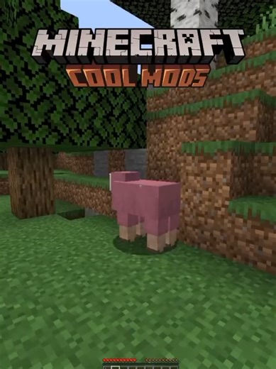 Minecraft cool mods 💀#Minecraft