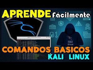 Aprende fácilmente Comandos Básicos de Kali Linux, Ejemplo práctico