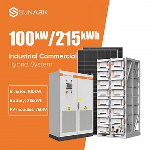 [Hot Item] Commercial Solar Power System 100kw 100kVA 300kw 500kw Bess Solar Battery Storage Hybrid PV Solar System