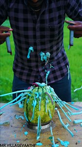 Watermelon Experiment..! 💥 #experiment | Mr.Village Vaathi